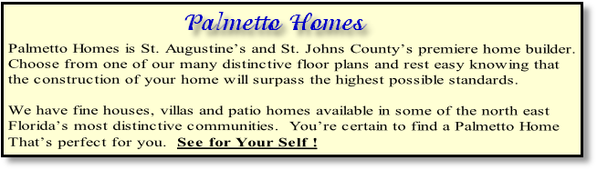 Palmetto Homes